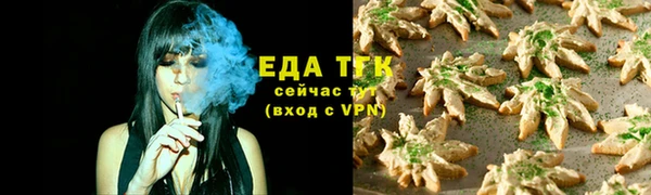 молекула духа Ельня