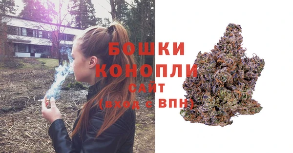 скорость Дмитриев