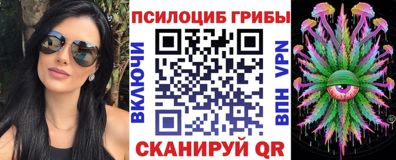 Купить где  Кингисепп  Галлюциногенные грибы Psilocybine cubensis 